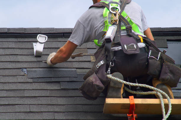 Best Roof Gutter Cleaning  in Newport, WA