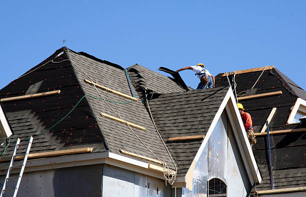 Best Metal Roofing Contractor  in Newport, WA