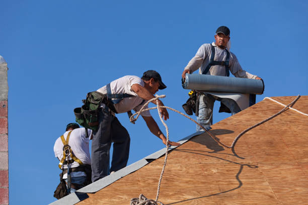 Best New Roof Installation  in Newport, WA