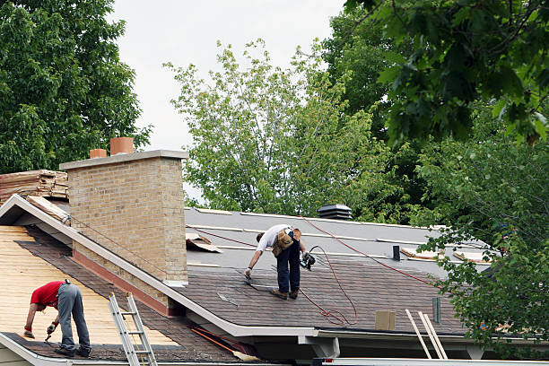 Roof Gutter Cleaning in Newport, WA