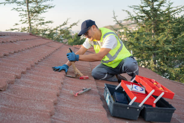 Best New Roof Installation  in Newport, WA