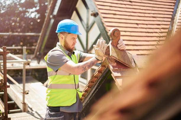Roof Installation Near Me in Newport, WA