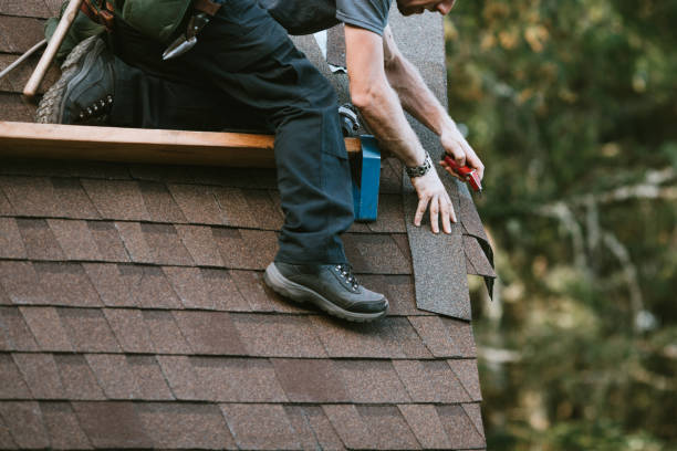 Best Roof Restoration Services  in Newport, WA